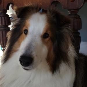 Meet your Posher, Parker